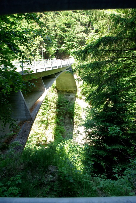 schwandbach rueggisberg IMGP2632