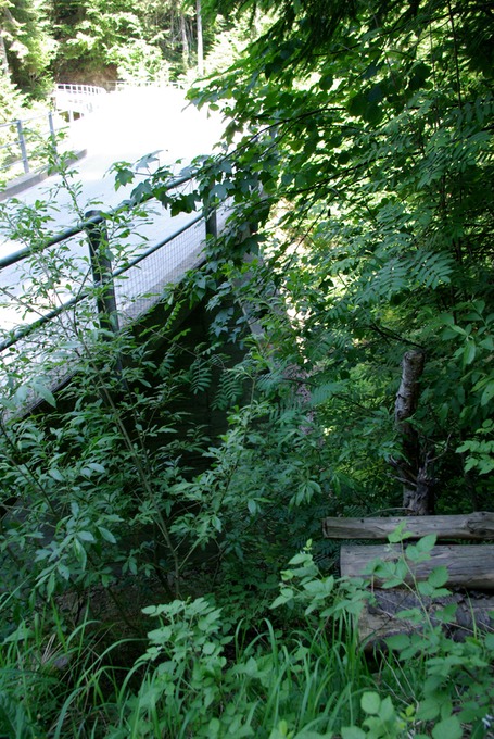 schwandbach rueggisberg IMGP2627