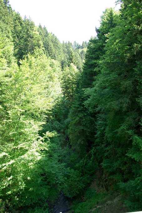 schwandbach rueggisberg IMGP2621