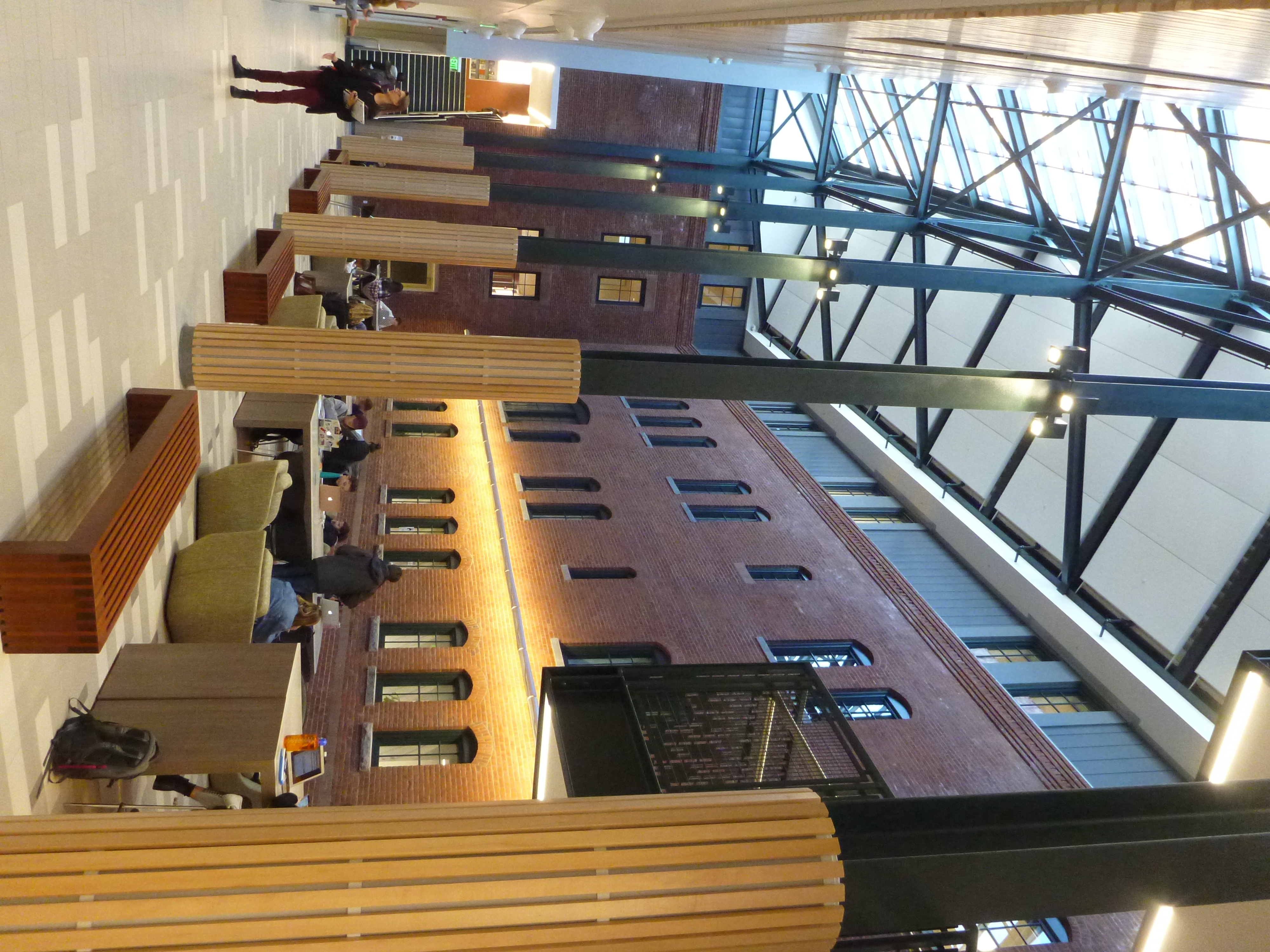 Study area