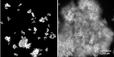 Distribution of aggregates