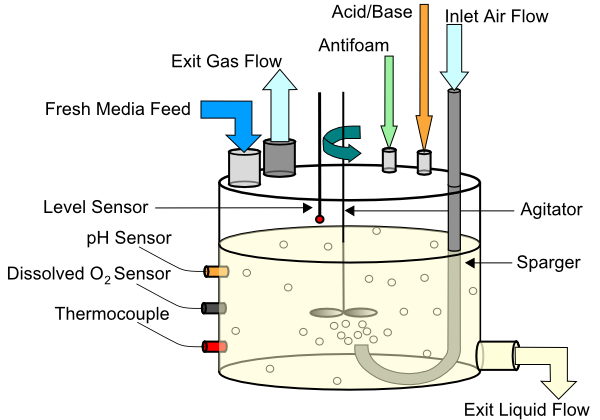 Fermenter diagram