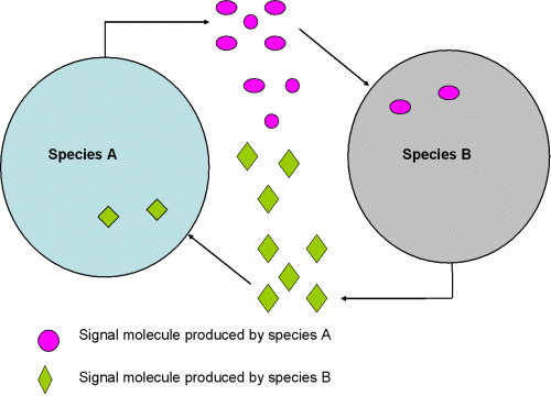 Synthetic symbiotic ecosystem diagram