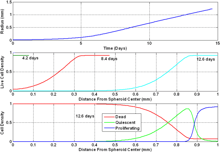 Figure showing tumor model predictions