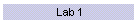 Lab 1